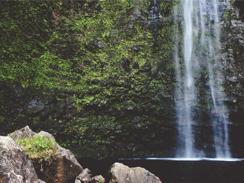 sudoku relaxing gameplay