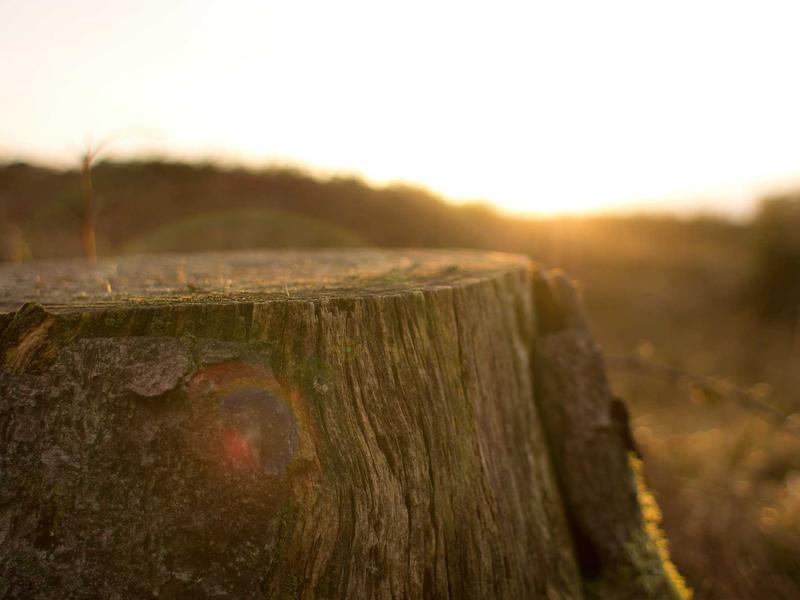 sudoku relaxing gameplay screenshot 4