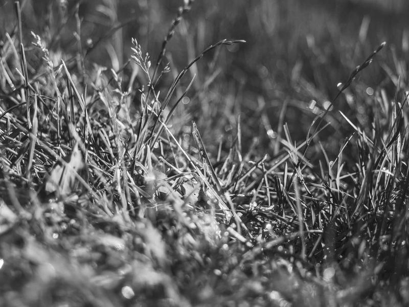 sudoku no solution screenshot 4